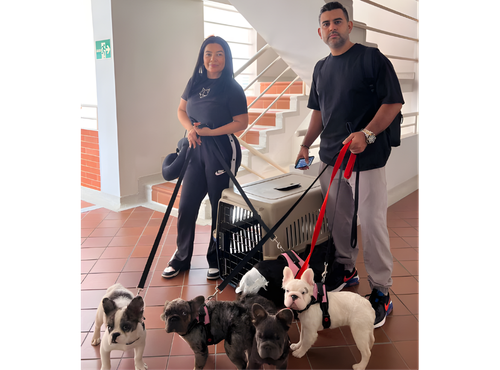 Imagen Corporativa TuFlyDog